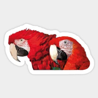 Scarlet macaws Sticker